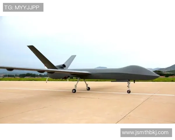 乌克兰与尼日尼亚的激战分析及未来发展展望 乌克兰与尼日尼亚的激战分析及未来发展展望